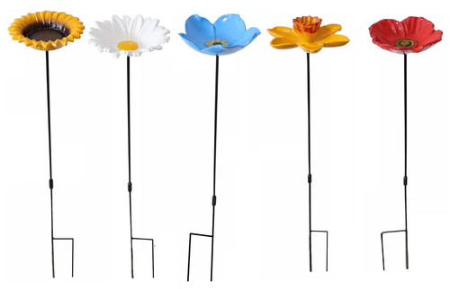 Flower bird feeding - flower,
