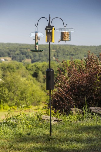 Squirrel proof super tall - proof,