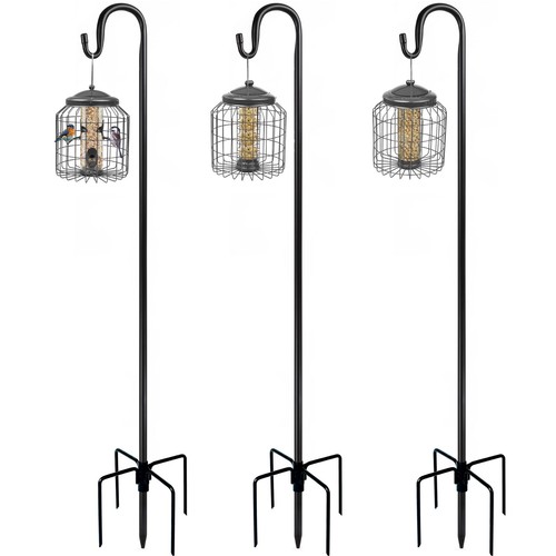 Bird feeding station outdoor - bird,