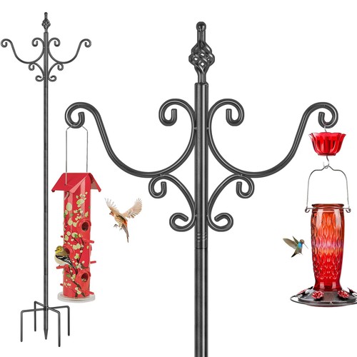 Bird feeders hanging - bird,