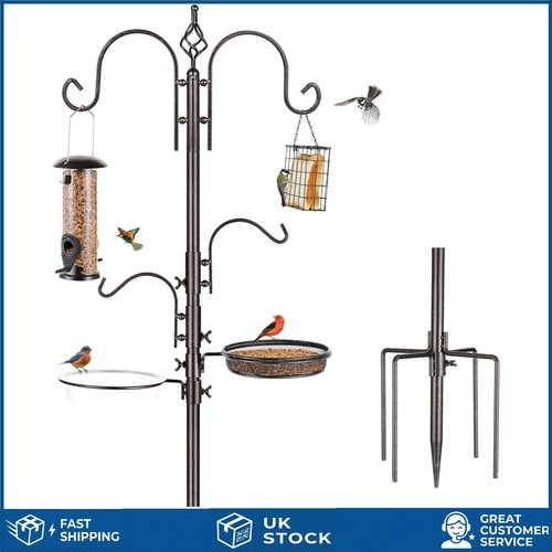Elegant tall bird feeding - tall,