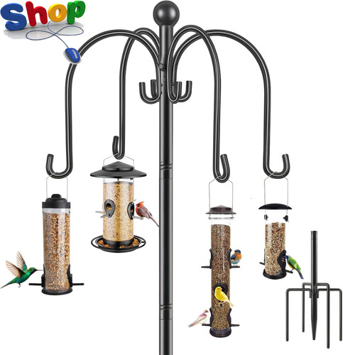 Bird feeders hanging - bird,