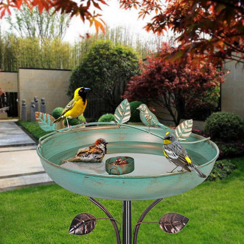 Prongs base bird bath with - 5,