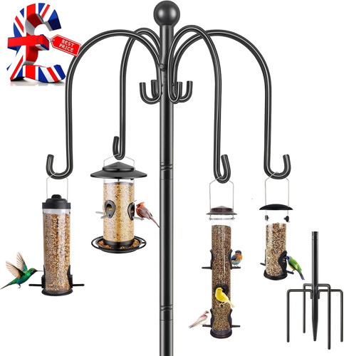 Bird feeders hanging - bird,
