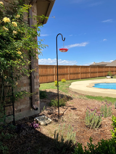 Bird feeder pole 235cm - bird,