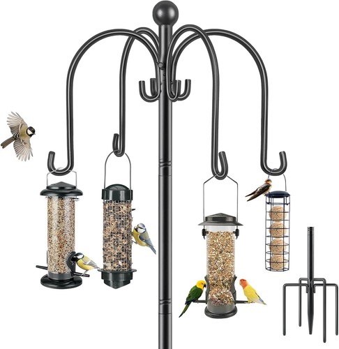 Bird feeders hanging - bird, station