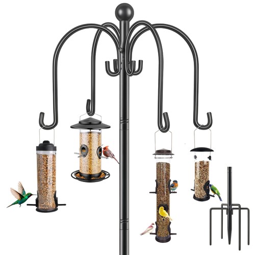 Bird feeders hanging - bird,