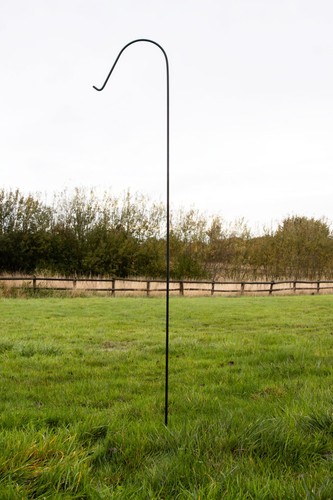 Bird feeder pole stand - bird,